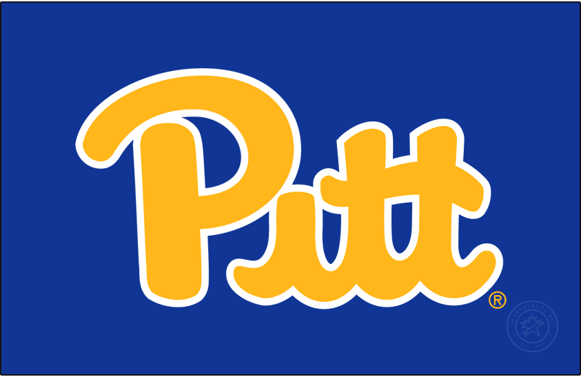 Pittsburgh Panthers 2019-Pres Primary Dark Logo v3 diy DTF decal sticker